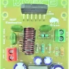 SAMPLE-BISON-ASM.webp lm3886 amplifier board image
